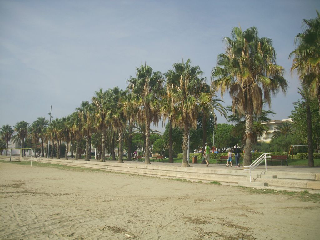 Strand
